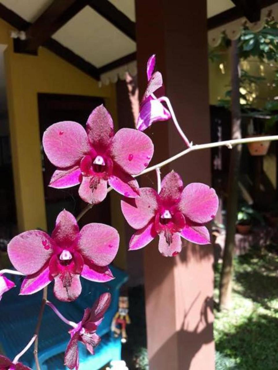 Thanakha Inle Hotel Nyaung Shwe Exterior foto